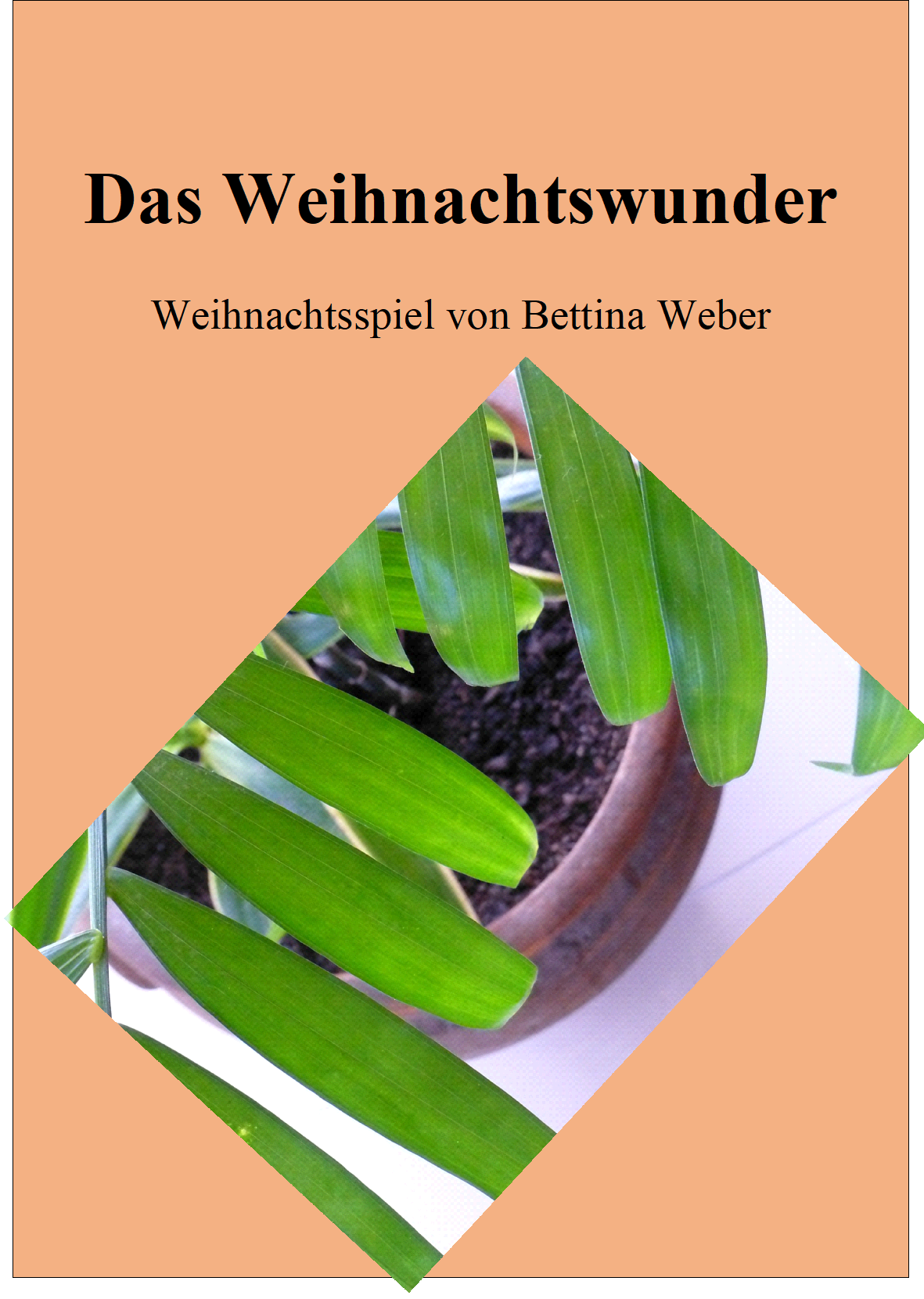 Das Weihnachtswunder Cover der Notenausgabe