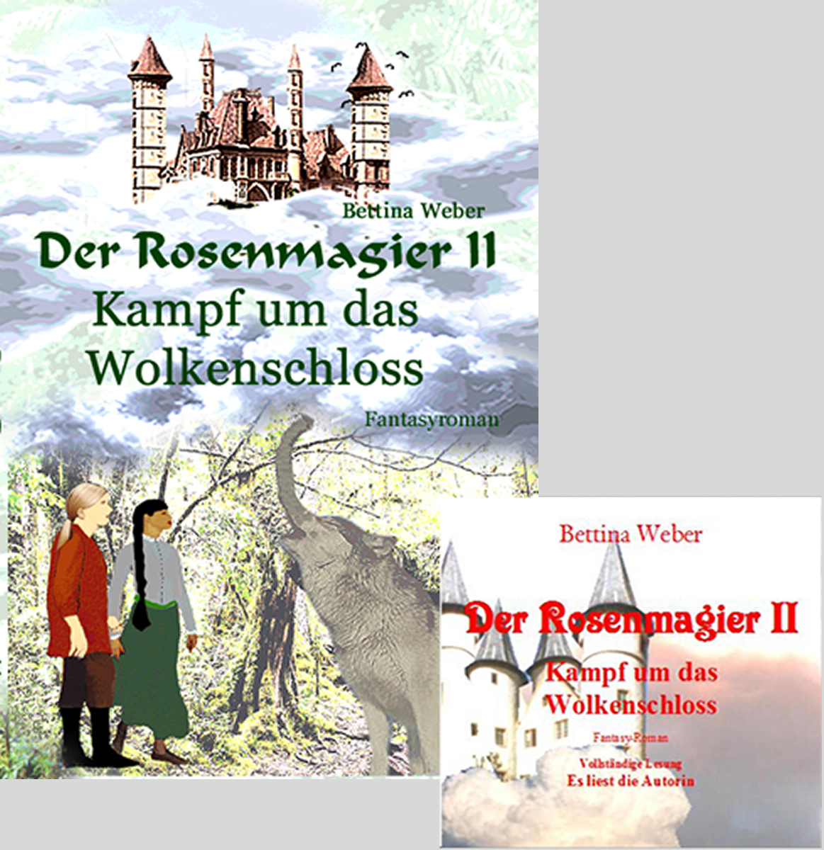 Der Rosenmagier II Kampf um das Wolkenschloss Buchcover und Hörbuch